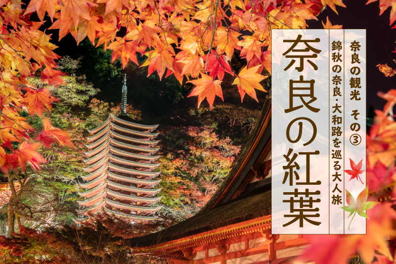 奈良の紅葉・黄金色に輝くススキ