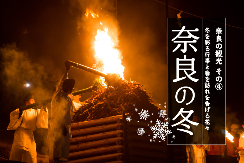 奈良の冬・冬を彩る行事と春を訪れを告げる花々