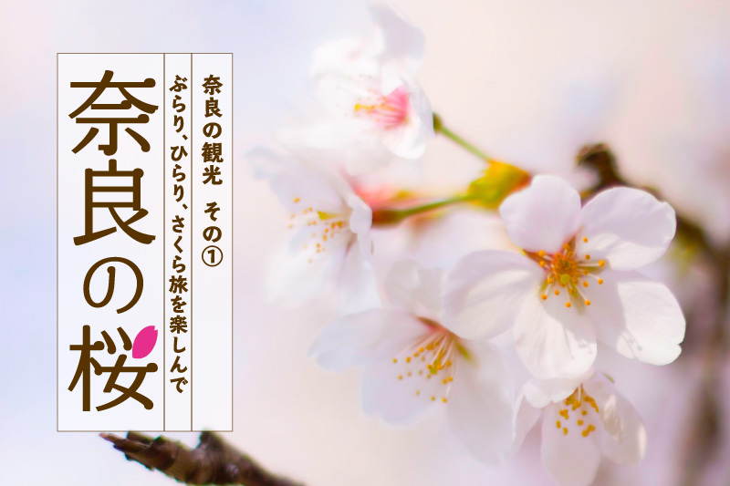 奈良の桜「ぶらり、ひらり、さくら旅を楽しんで」