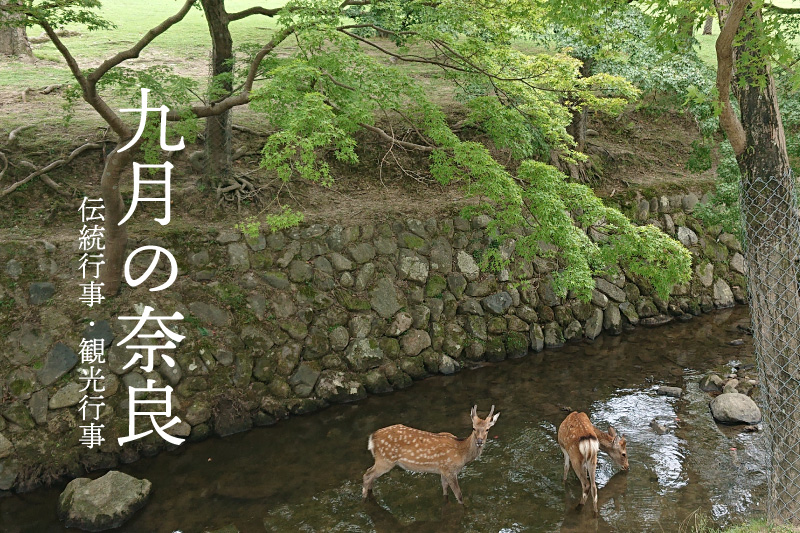 9月の奈良　伝統行事・観光行事・イベント