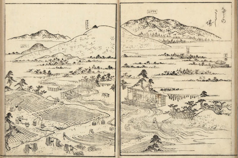 大和名所図会(江戸時代後期の大和国の名所案内図。奈良晒については「ならのさらし場」の様子が描かれている)