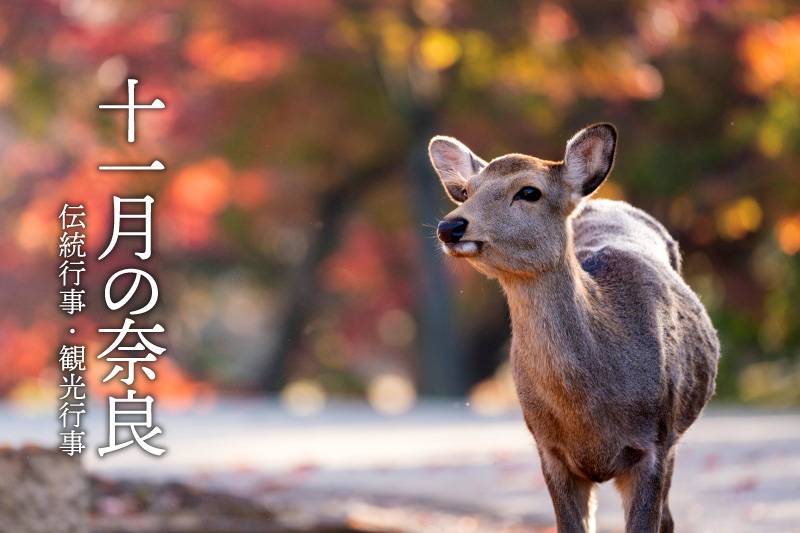 11月の奈良　伝統行事・観光行事・イベント