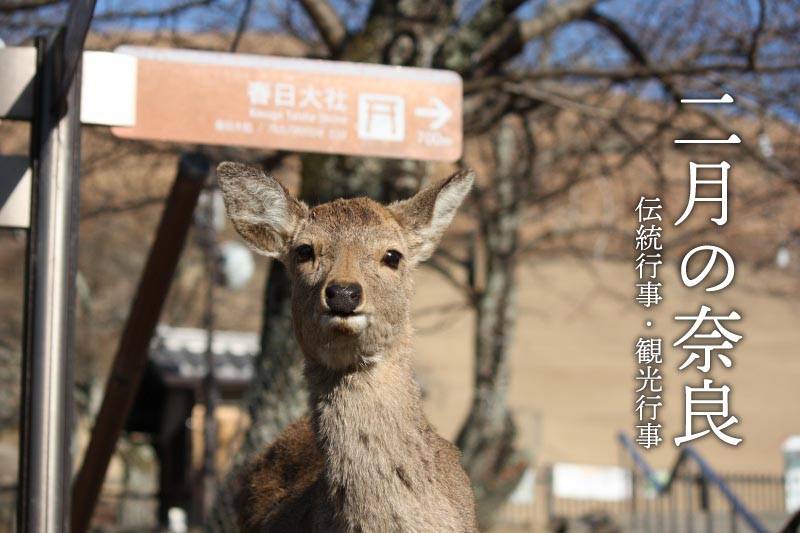 2月の奈良　伝統行事・観光行事・イベント