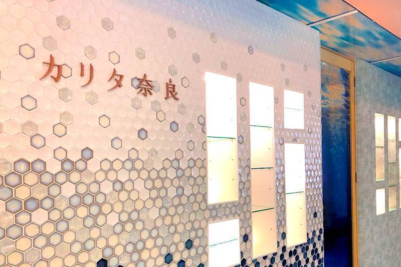 ホテルレストラン＆エステプラン2024-2025