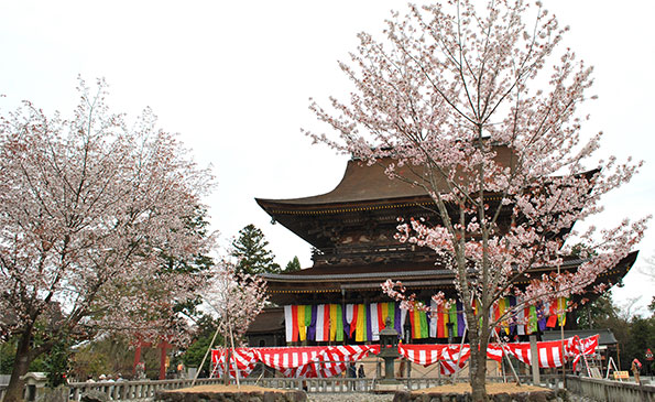 吉野山 下千本