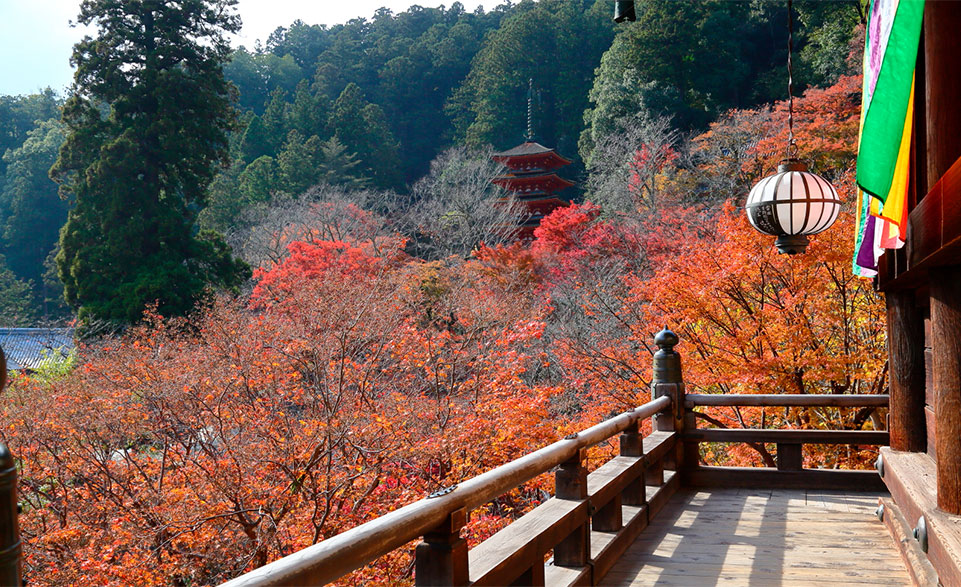 長谷寺