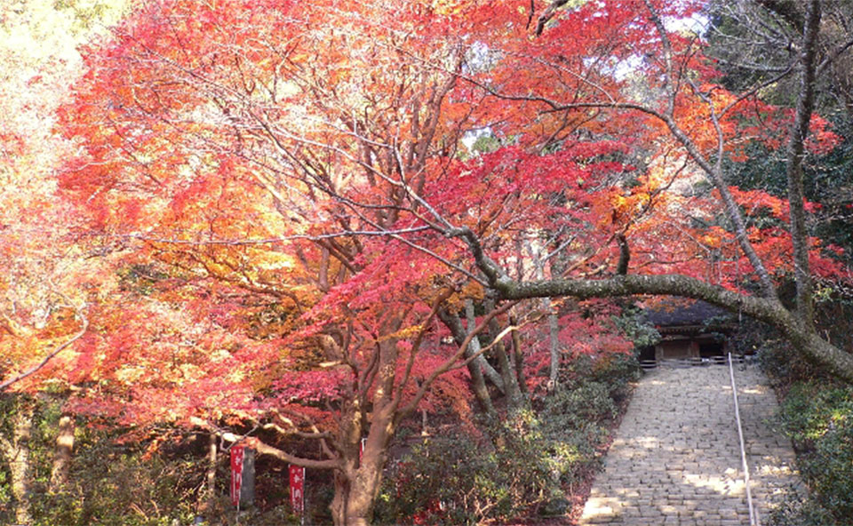 室生寺