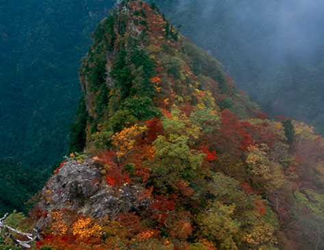 大台ヶ原