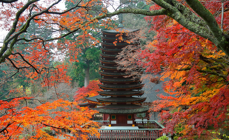 談山神社