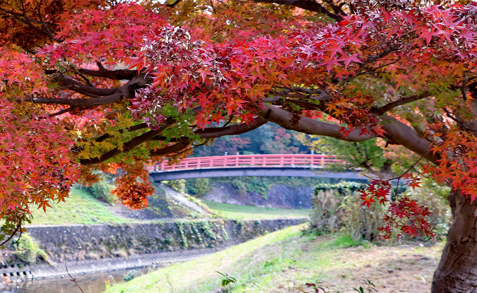 竜田公園