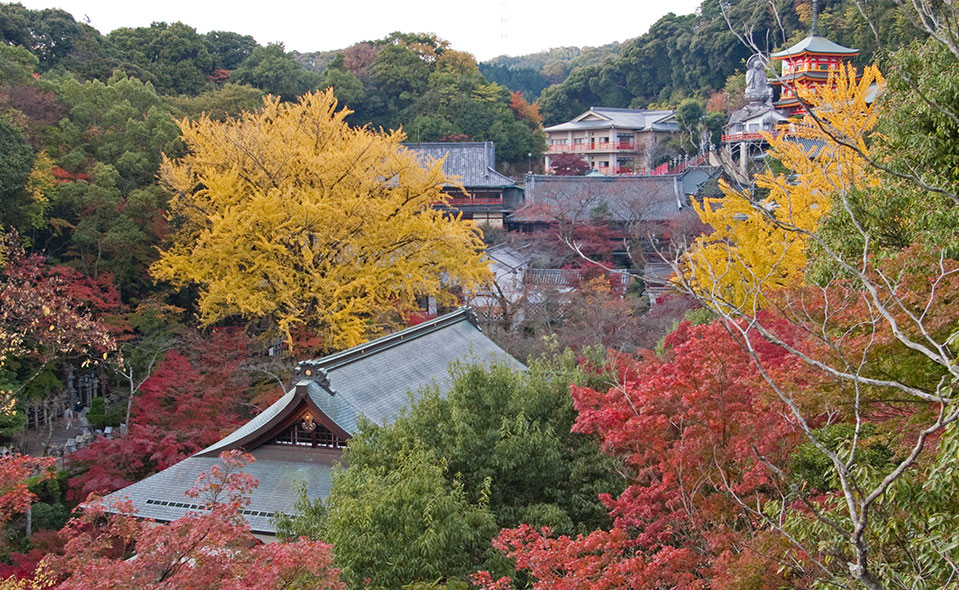 朝護孫子寺