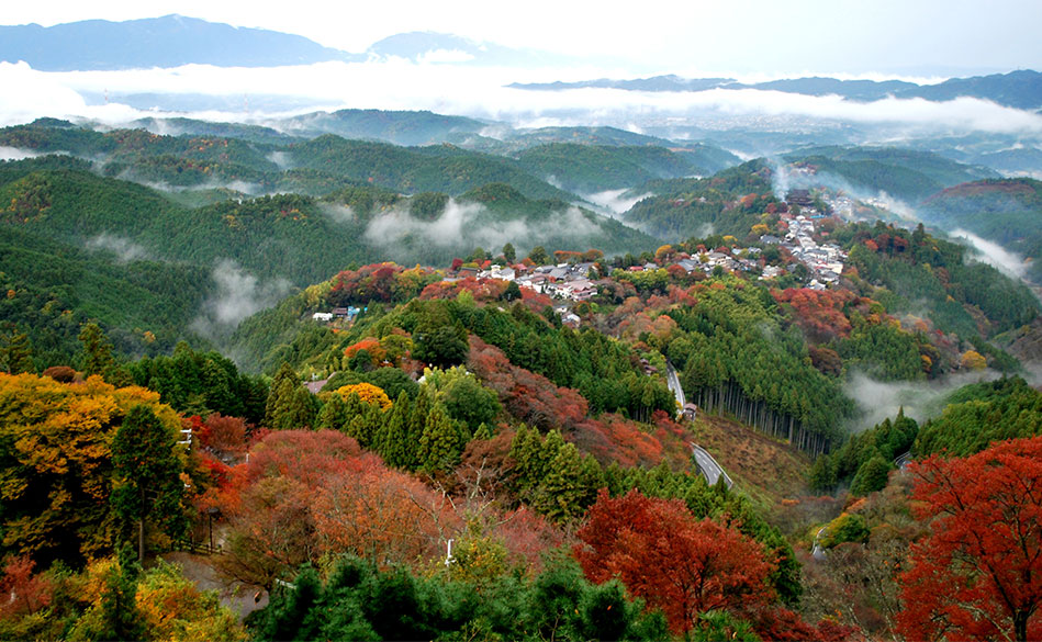 吉野町