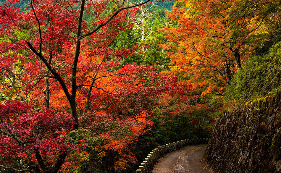 吉野町