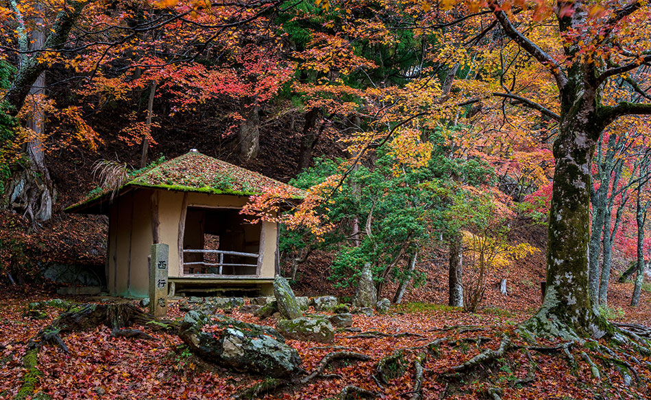 吉野町