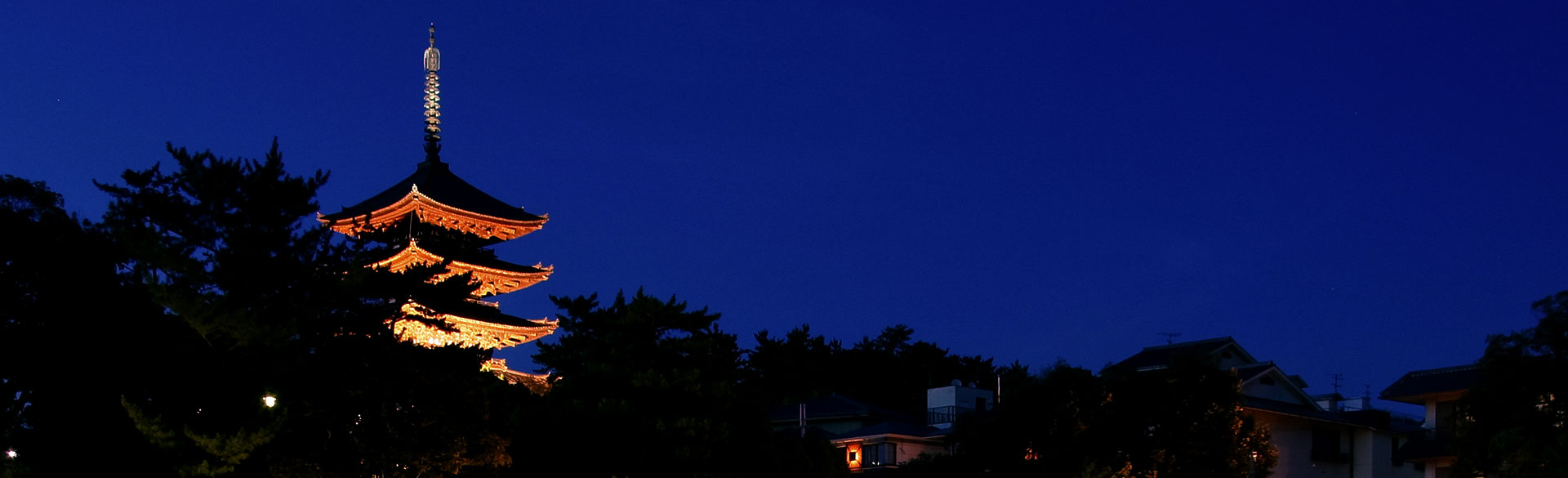 奈良の夜