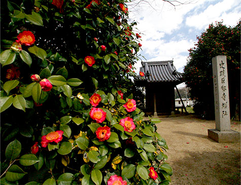 阿吽寺